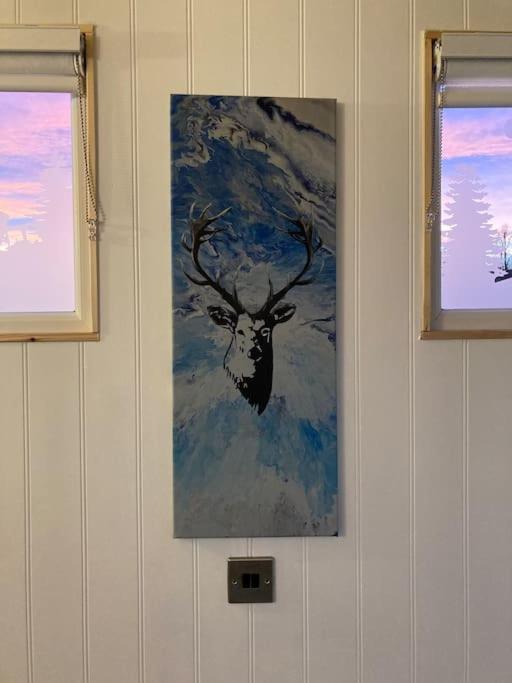 The Ashmere Tiny House Coldingham المظهر الخارجي الصورة