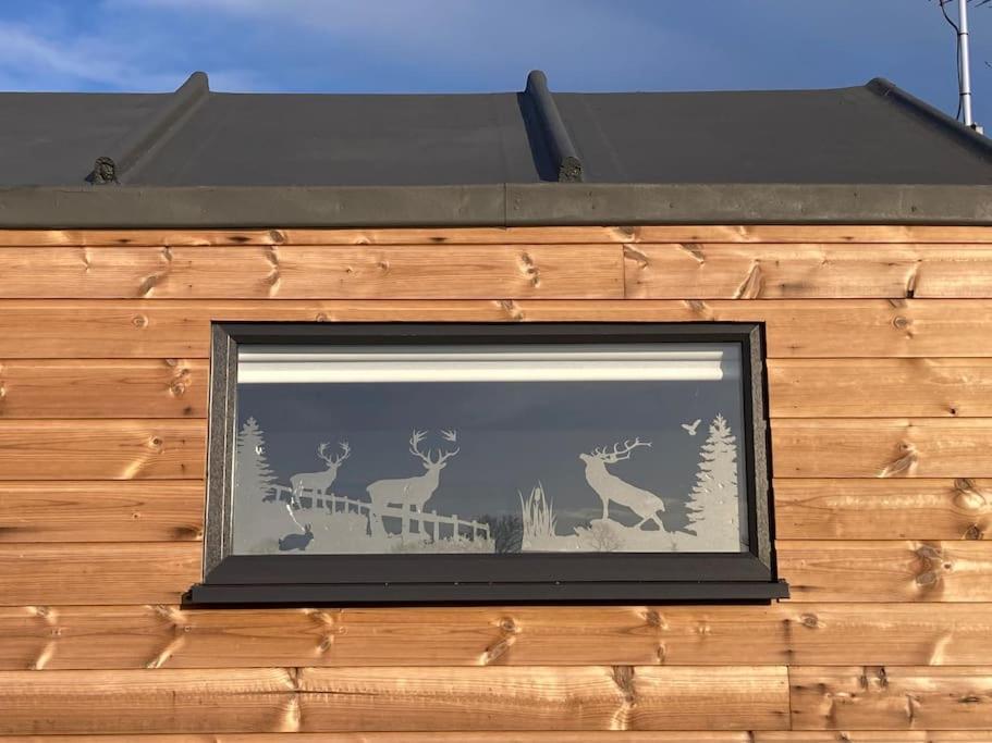 The Ashmere Tiny House Coldingham المظهر الخارجي الصورة