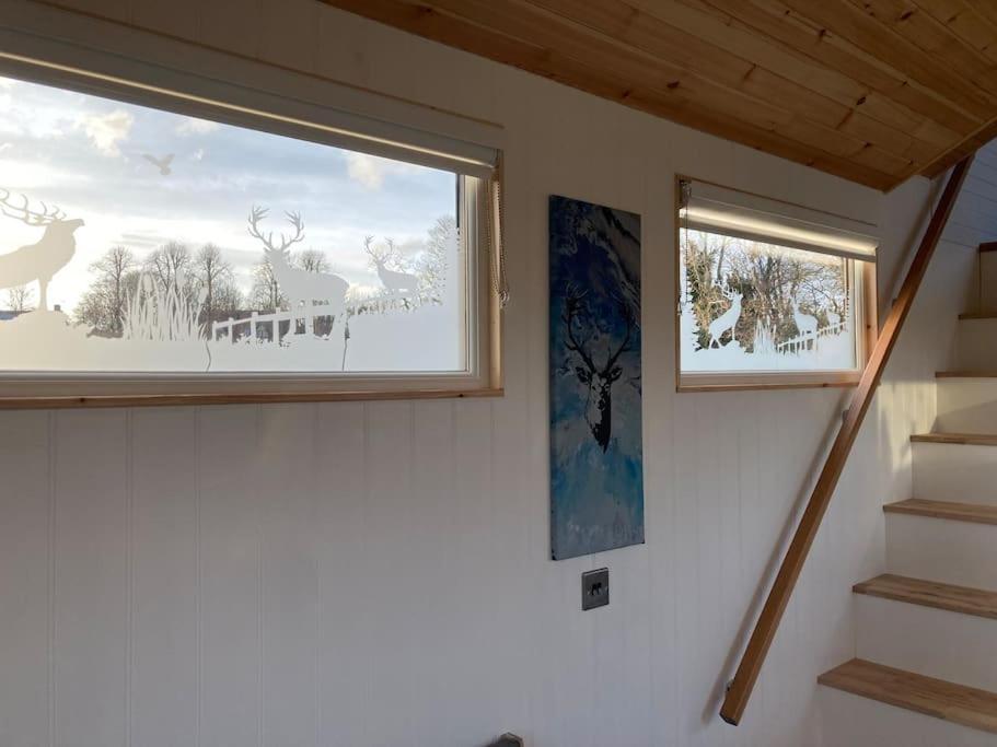 The Ashmere Tiny House Coldingham المظهر الخارجي الصورة