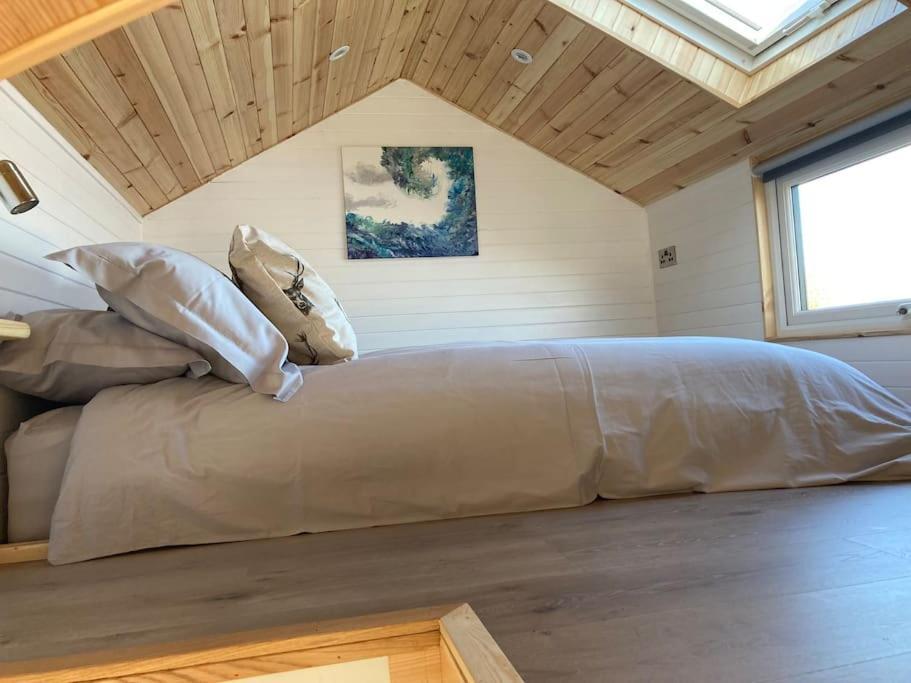 The Ashmere Tiny House Coldingham المظهر الخارجي الصورة