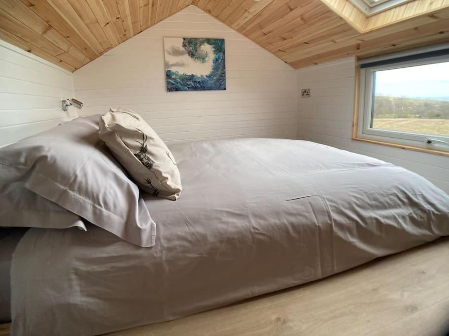 The Ashmere Tiny House Coldingham المظهر الخارجي الصورة
